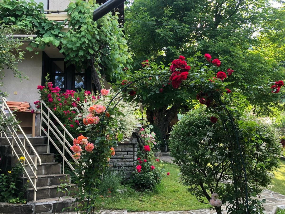 Luylyana Guesthouse Рибарица Екстериор снимка